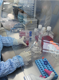 Golden plant elements