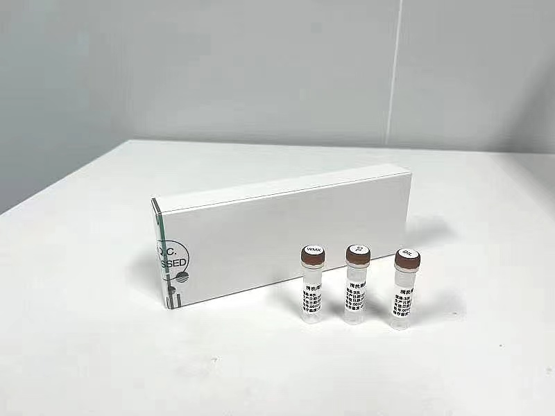 Cleaning reagent kit